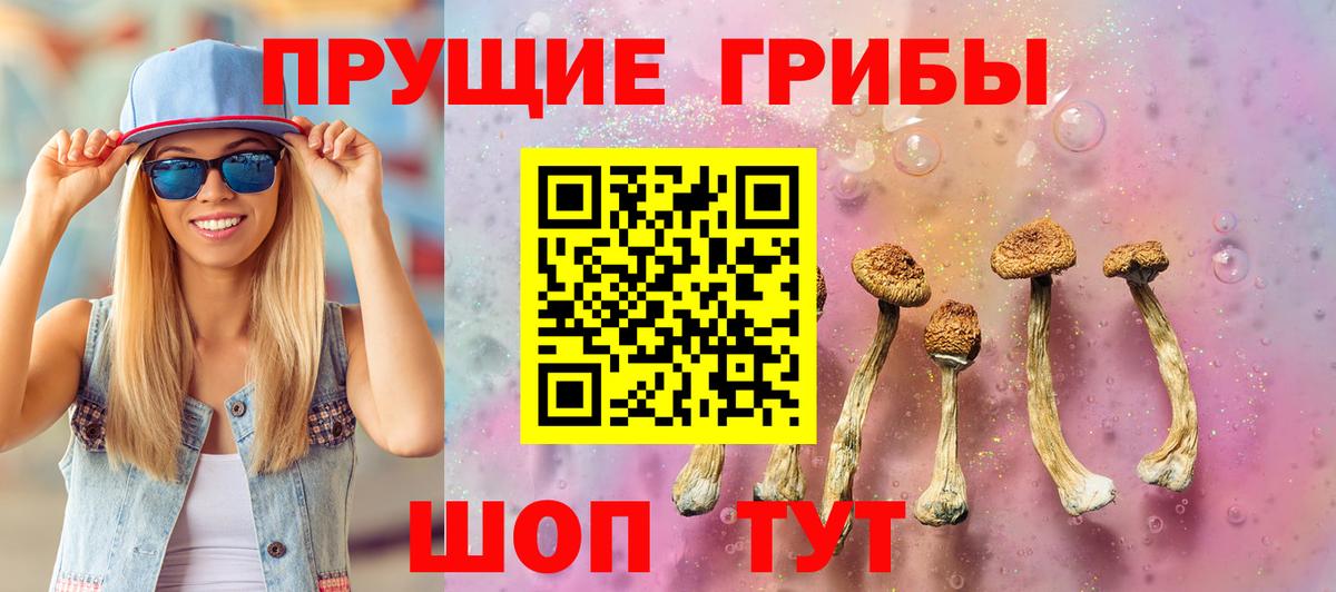 Обь  Псилоцибиновые грибы Psilocybine cubensis  Вход с VPN  Псилоцибиновые грибы Cubensis 